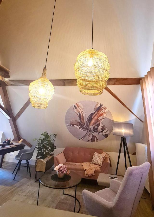 Remise 67 - Historisches Anwesen Beim Maison 1775, Mit Sauna, Wissembourg, Elsass Ingolsheim エクステリア 写真